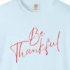 daily-gratitude-tee-chambray-chest Close-up of the Daily Gratitude print on a Chambray Comfort Colors 1717 tee