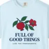 full-of-good-things-tee-chambray-chest Close-up of the Full of Good Things print on a Chambray Comfort Colors 1717 tee