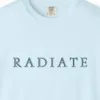 Close-up of the Radiate Inline Capitals print on a Chambray Comfort Colors 1717 tee