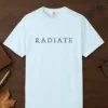 Radiate Inline Capitals design on a Chambray Comfort Colors 1717 tee, laid flat