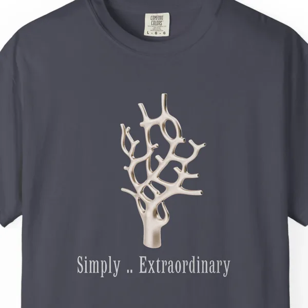 Close-up of the Simply Extraordinary print on a Navy Comfort Colors 1717 tee