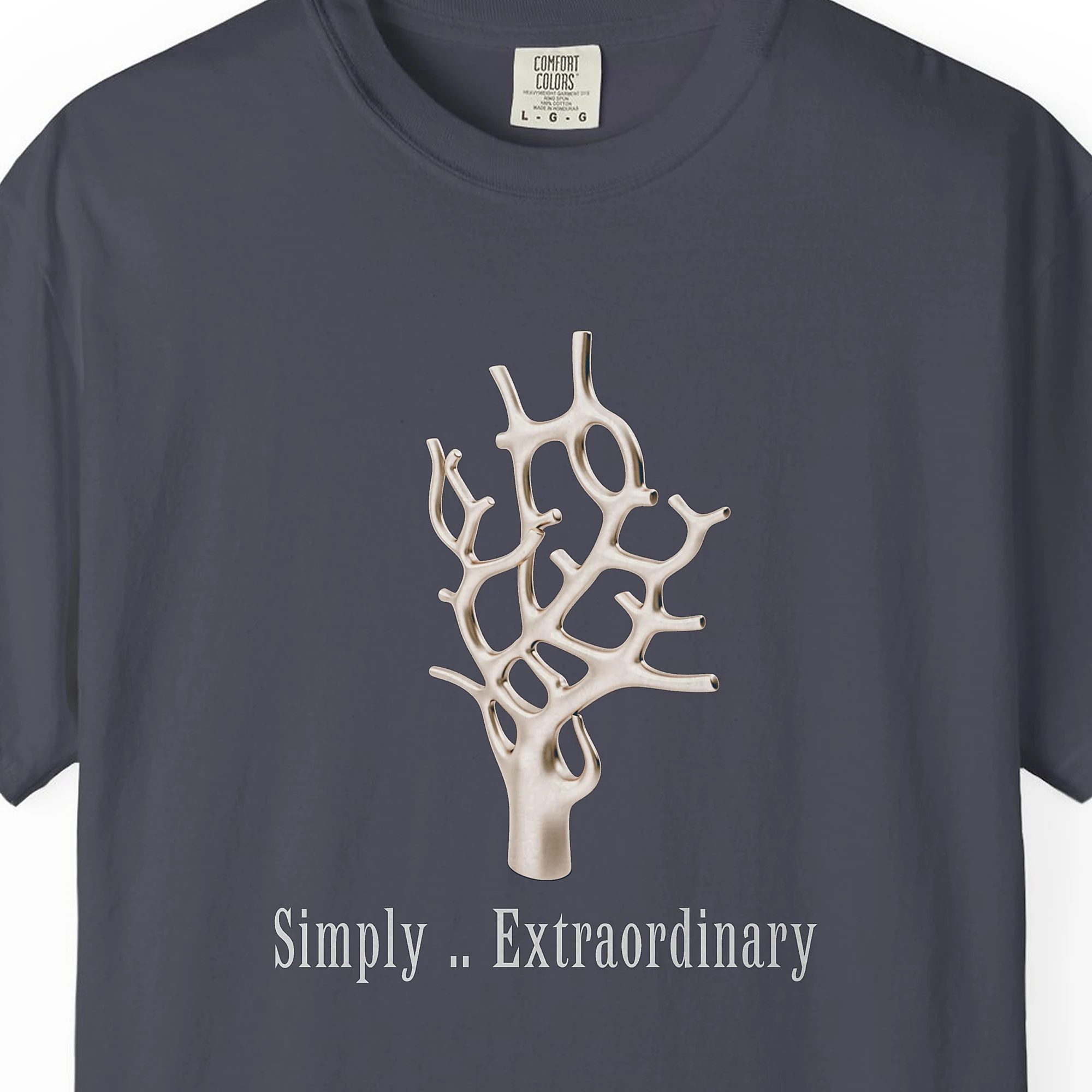 simply-extraordinary-tee-navy-chest Close-up of the Simply Extraordinary print on a Navy Comfort Colors 1717 tee