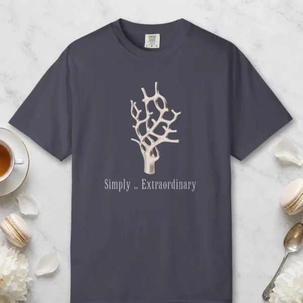 Simply Extraordinary design on a Navy Comfort Colors 1717 tee, laid flat